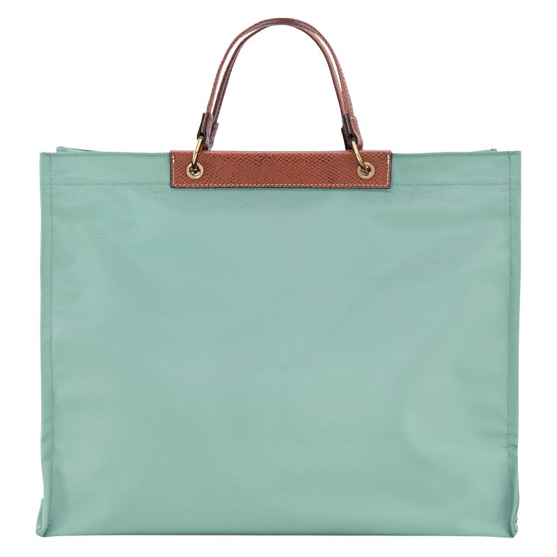 Blue Green Women Longchamp Cabas L Tote Bag | Egypt-613CUOXSD